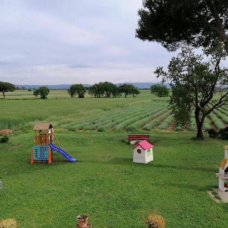 ביבונה Agriturismo Susanna E Atria מראה חיצוני תמונה