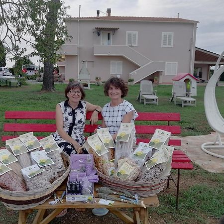ביבונה Agriturismo Susanna E Atria מראה חיצוני תמונה