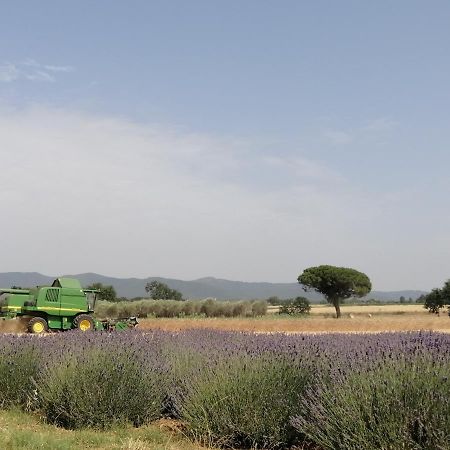 ביבונה Agriturismo Susanna E Atria מראה חיצוני תמונה