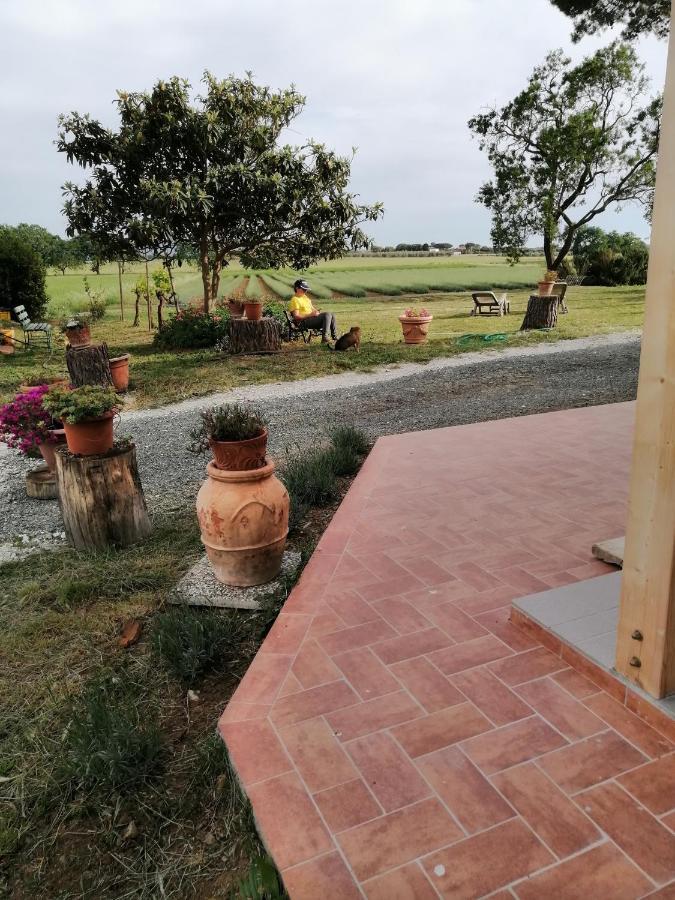 ביבונה Agriturismo Susanna E Atria מראה חיצוני תמונה