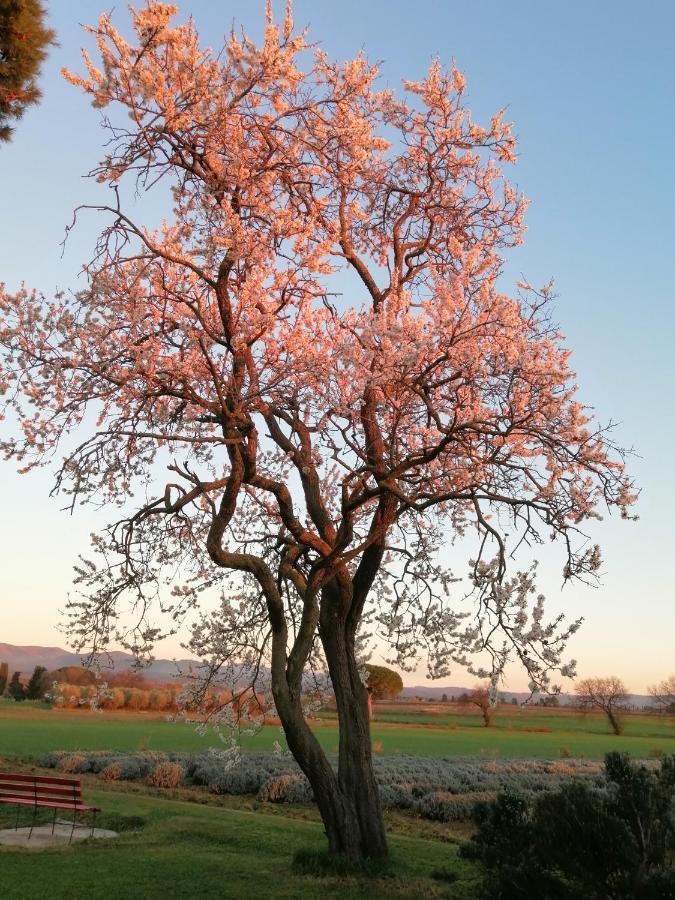 ביבונה Agriturismo Susanna E Atria מראה חיצוני תמונה