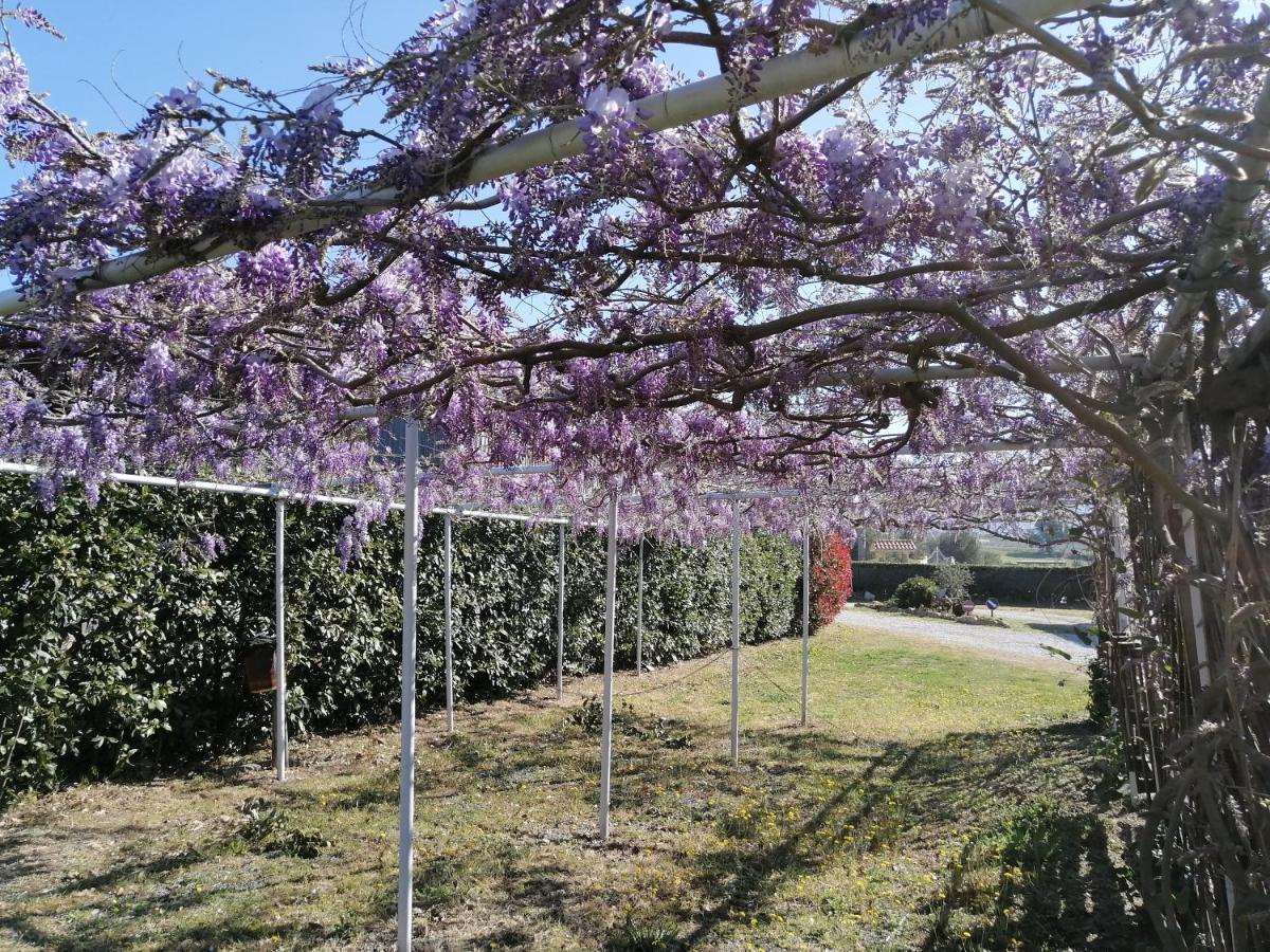 ביבונה Agriturismo Susanna E Atria מראה חיצוני תמונה